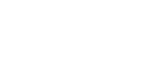 Neuromine logo